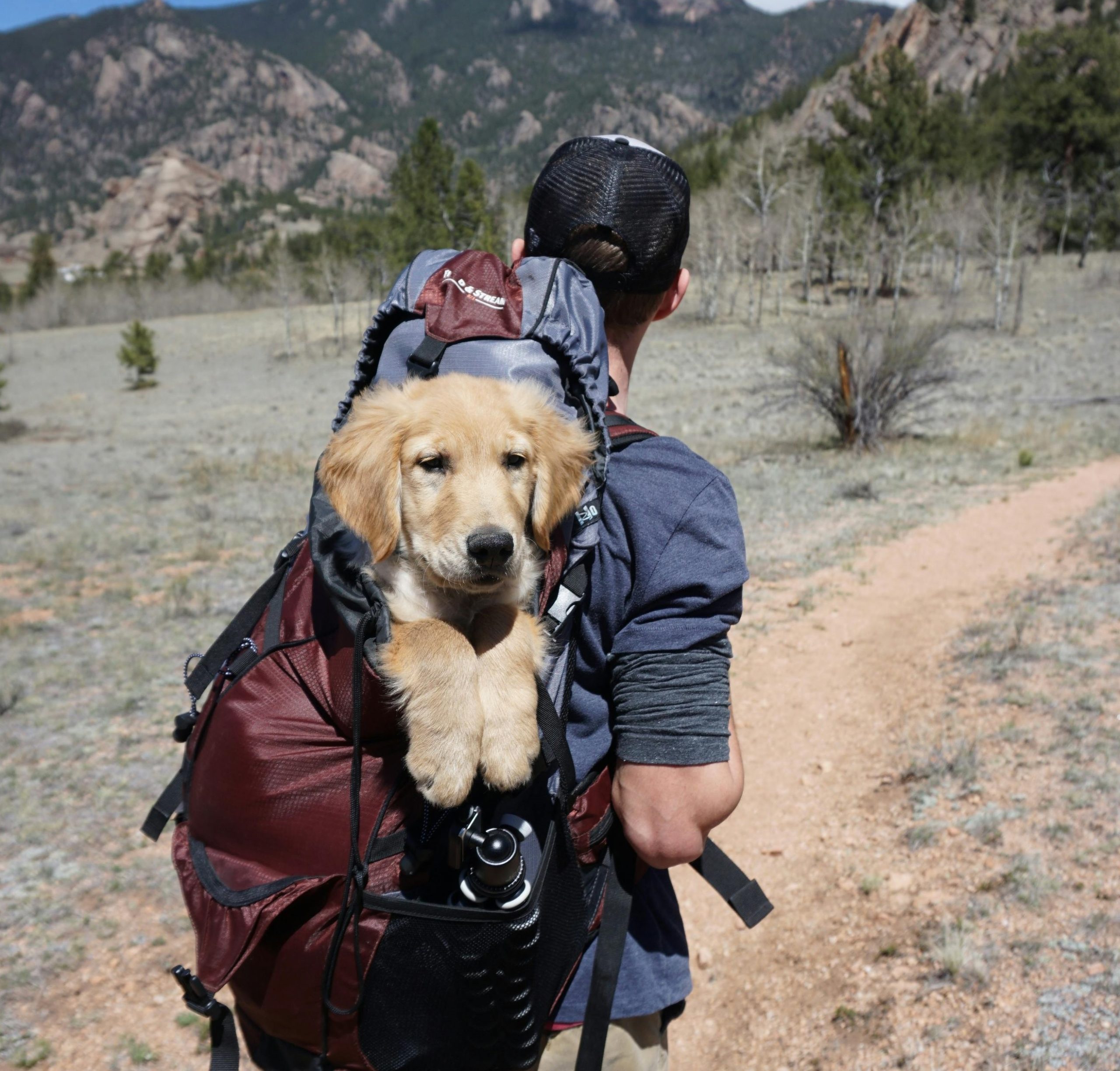 Slavoljub Ignjatijevic